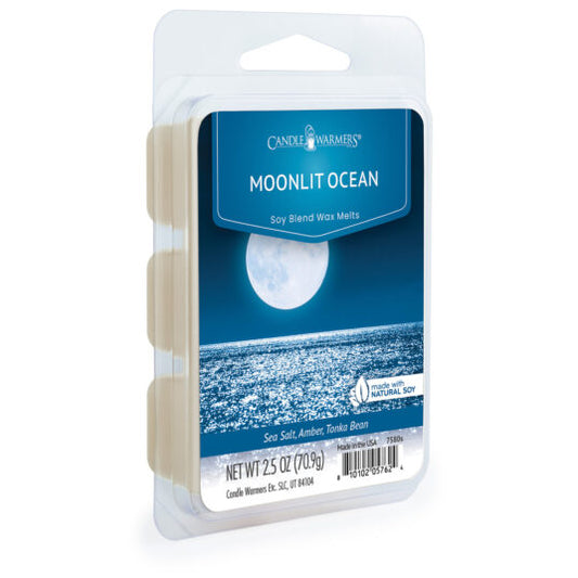 Moonlit Ocean Soy Wax Melts