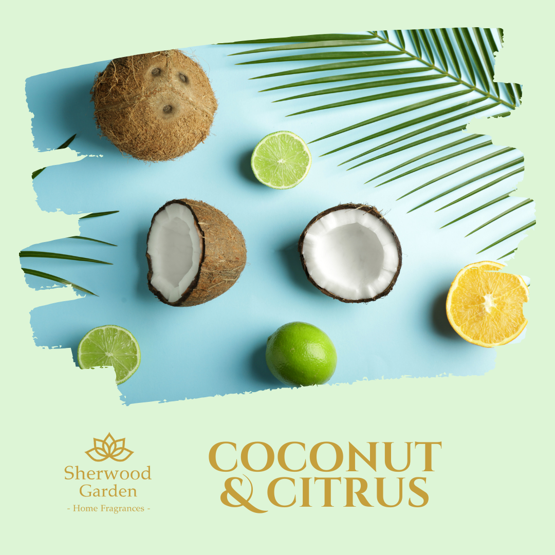 Coconut & Citrus 100% Natural Fragrance Soy Candle Tin 165g