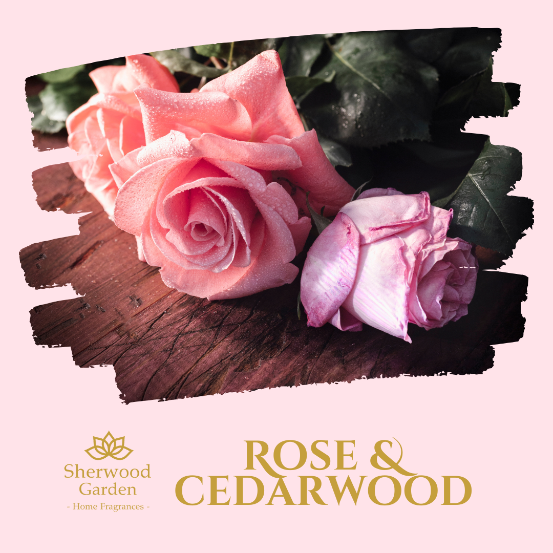 Rose & Cedarwood 100% Natural Fragrance Soy Candle Tin 165g