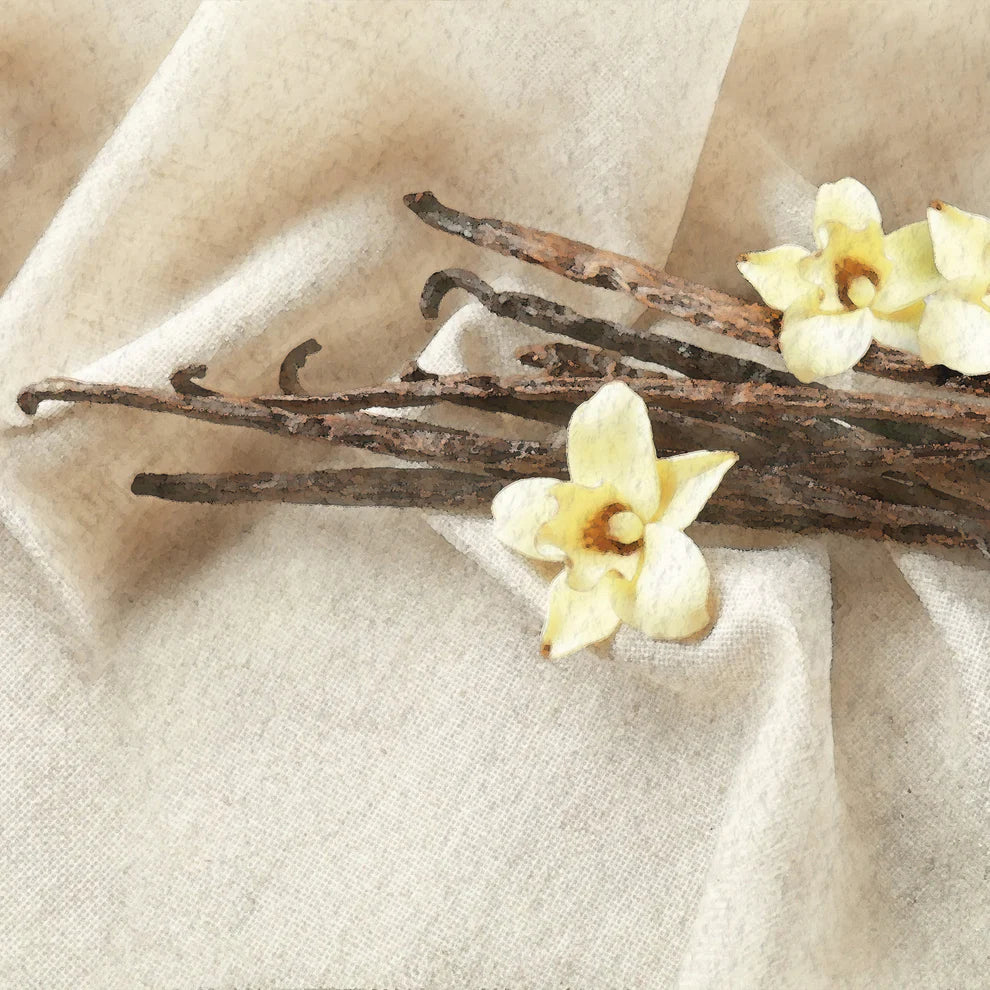 Vanilla Dream Airome Scents Essential Oil Blend 15ml