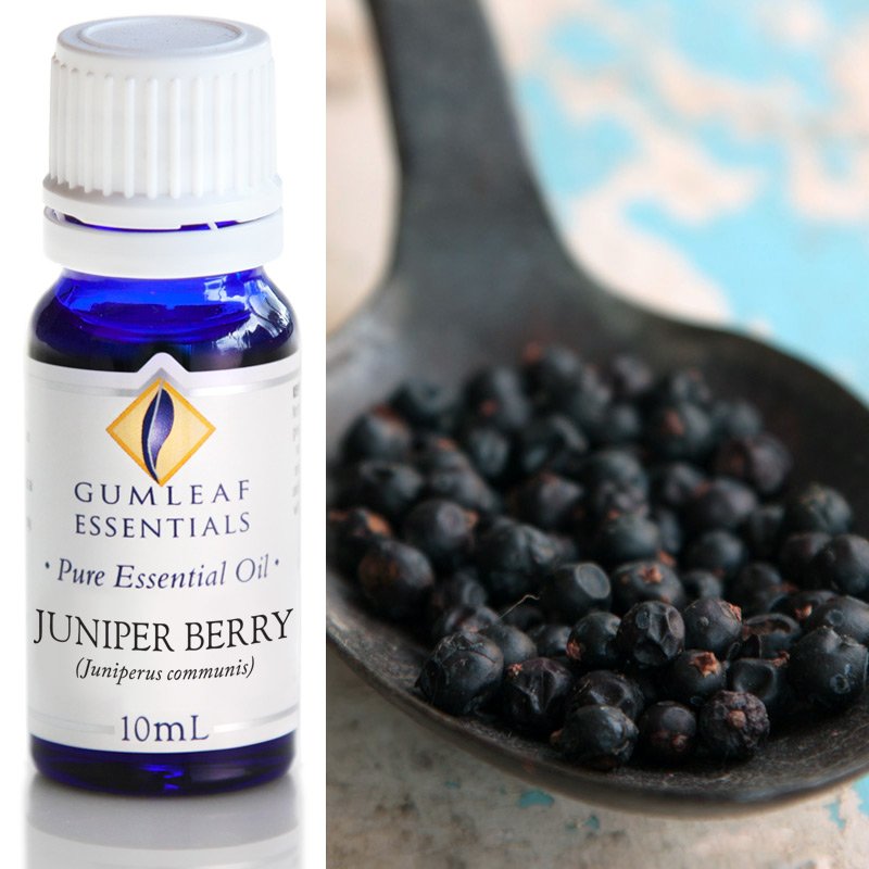 Juniper Berry Pure Essential Oil 10ml
