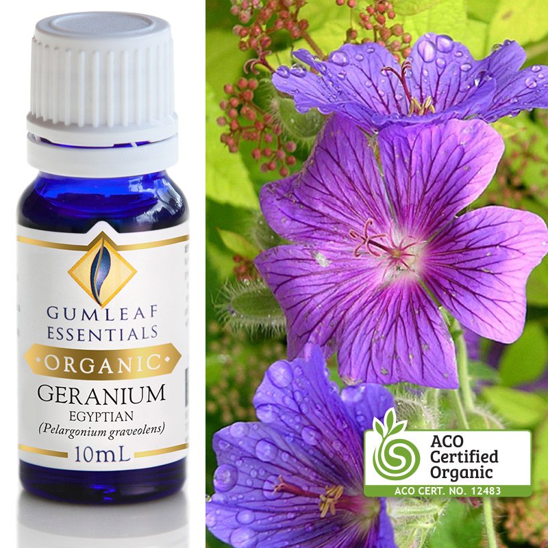 Organic Geranium Egyptian Pure Essential Oil 10ml