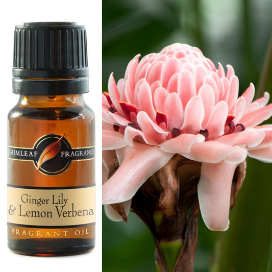 Ginger Lily & Lemon Verbena Fragrance Oil 10ml
