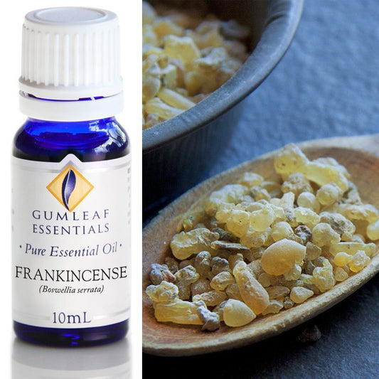 Frankincense Indian Pure Essential Oil 10ml