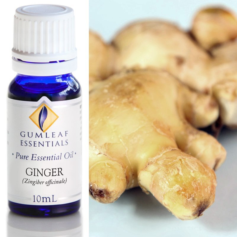 Ginger Pure Essential Oil 10ml