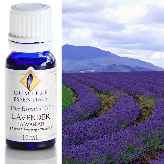 Lavender Tasmanian Pure Essential Oil 10ml