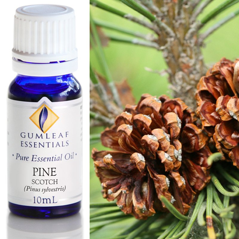Pine Scotch Pure Essential Oil 10ml
