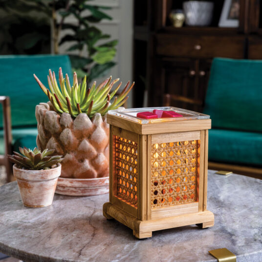 Wood & Cane Vintage Bulb Electric Fragrance Warmer