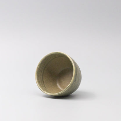 Mug 250ml Washed Fern