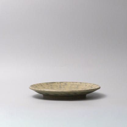 Thick Edge Plate 25cm Washed Fern
