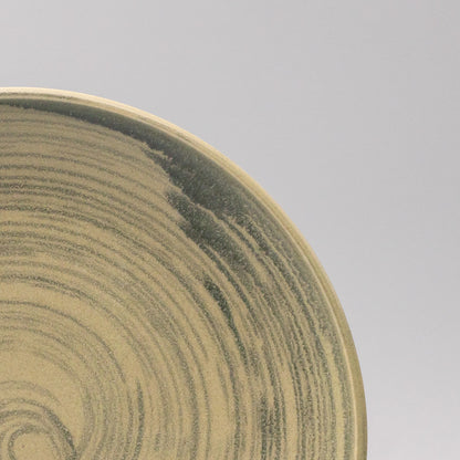 Dinner Plate 26cm Washed Fern