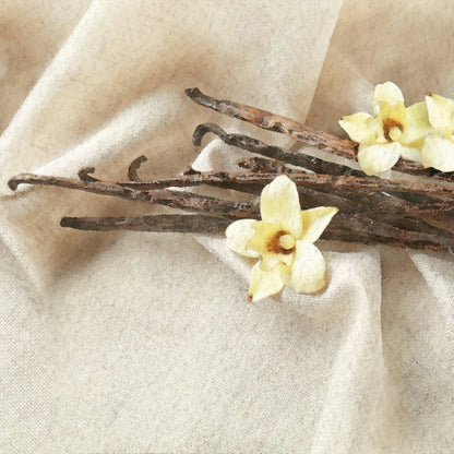 Vanilla Dream Airome Scents Essential Oil Blend 15ml