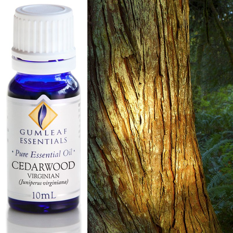 Cedarwood Virginian Pure Essential Oil 10ml