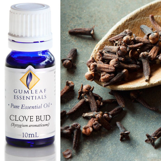 Clove Bud Pure Essential Oil 10ml