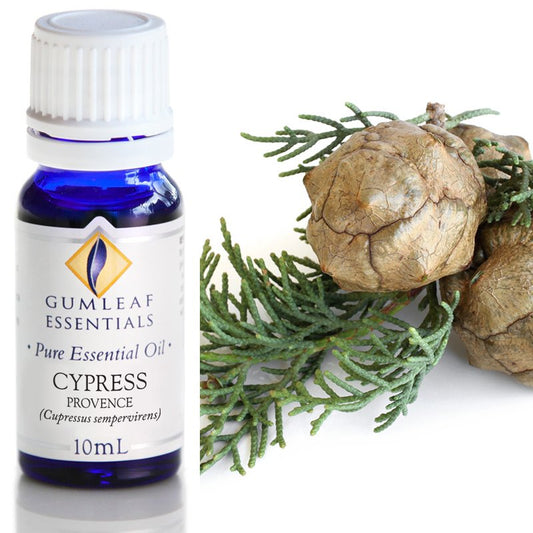 Cypress Provence Pure Essential Oil 10ml