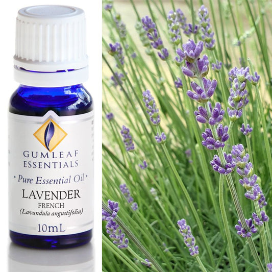 Lavender French Pure Essential Oil 10ml