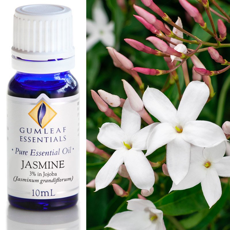 Jasmine (3% in Jojoba) Pure Essential Oil 10ml