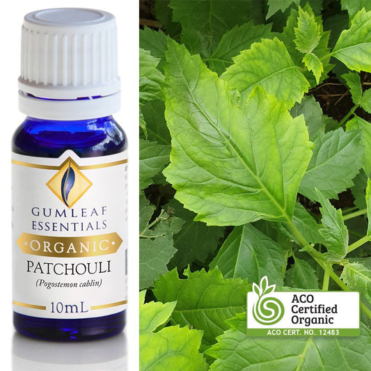 Organic Patchouli Pure Essential Oil 10ml