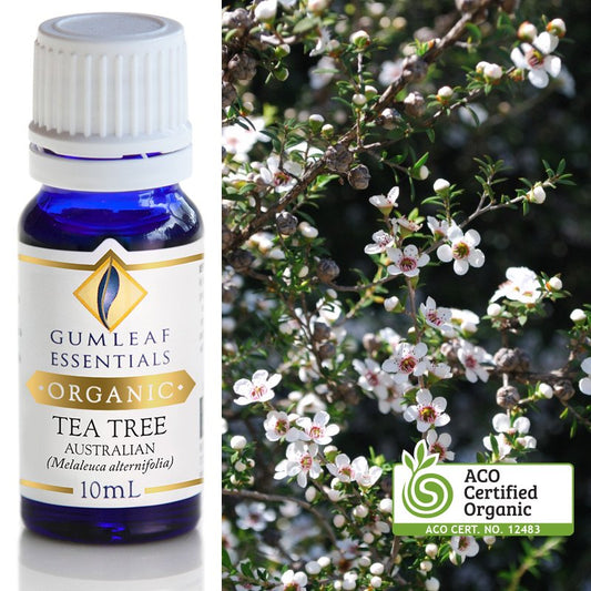 Organic Tea Tree Pure Essential Oil 10ml