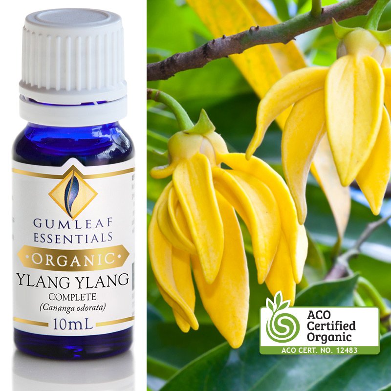 Organic Ylang Ylang Complete Pure Essential Oil 10ml