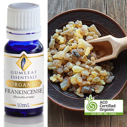 Organic Frankincense Pure Essential Oil 10ml