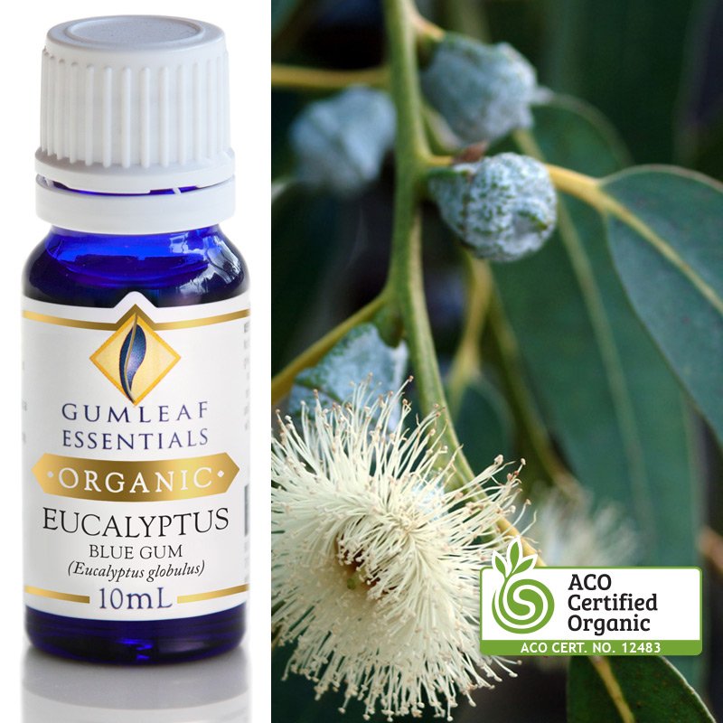 Organic Eucalyptus Blue Gum Pure Essential Oil 10ml