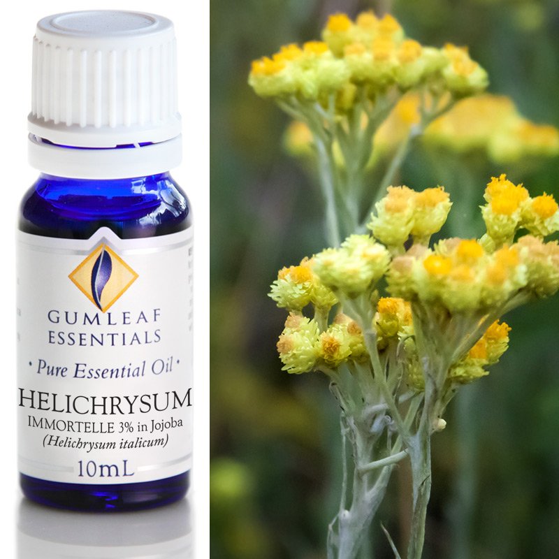 Helichrysum (3% in Jojoba) Pure Essential Oil 10ml