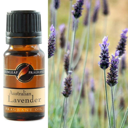 Australian Lavender Fragrance Oil 10ml