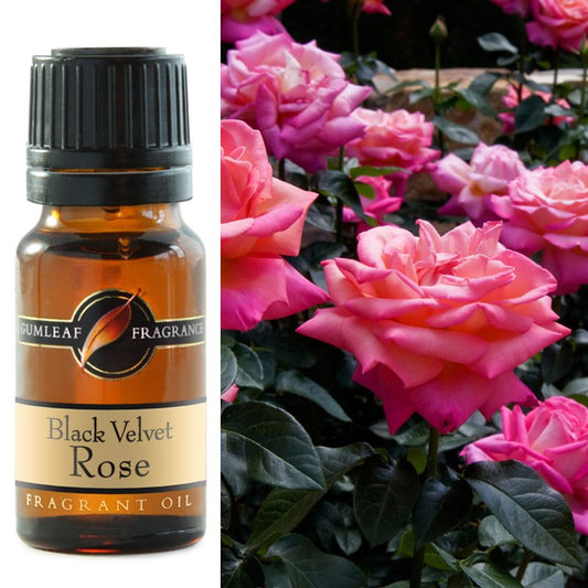 Black Velvet Rose Fragrance Oil 10ml