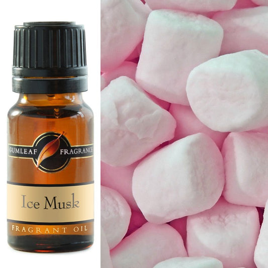 Ice Musk Fragrance Oil 10ml