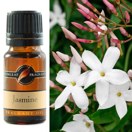 Jasmine Fragrance Oil 10ml