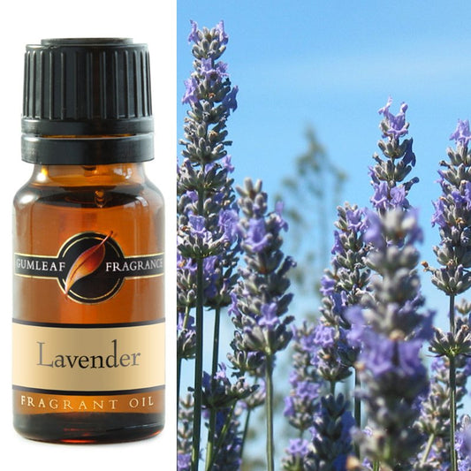 Lavender Fragrance Oil 10ml