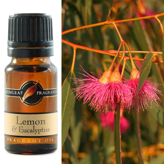 Lemon & Eucalyptus Fragrance Oil 10ml