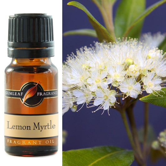 Lemon Myrtle Fragrance Oil 10ml