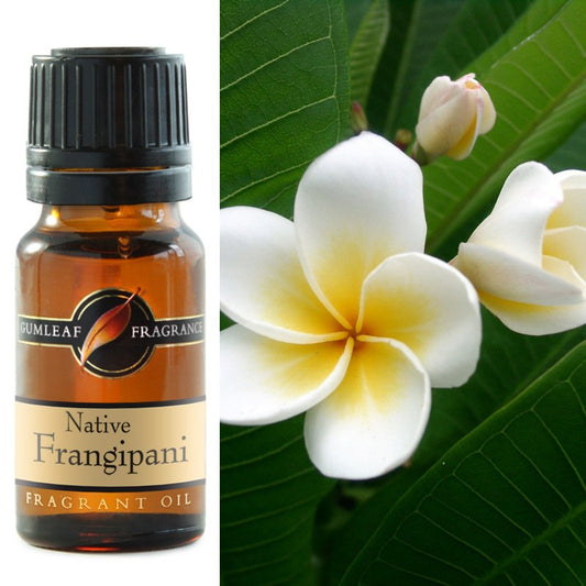Native Frangipani Fragrance Oil 10ml