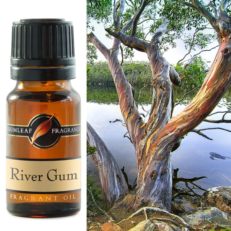 River Gum Fragrance Oil 10ml