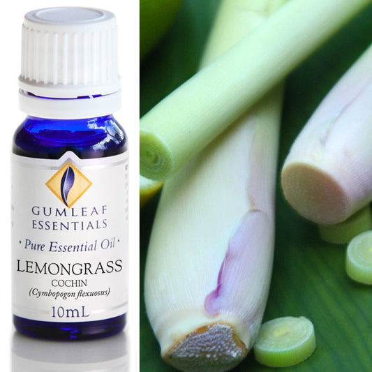 Lemongrass Cochin Pure Essential Oil 10ml