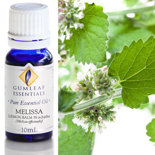 Melissa Lemon Balm (3% In Jojoba) Essential Oil 10ml