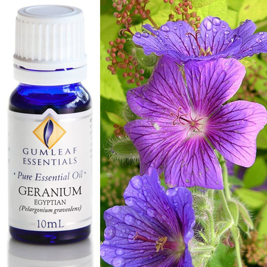 Geranium Egyptian Pure Essential Oil 10ml