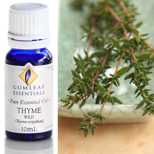 Thyme Wild Pure Essential Oil 10ml