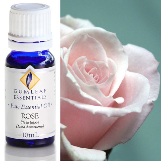 Rose (3% In Jojoba) Essential Oil 10ml