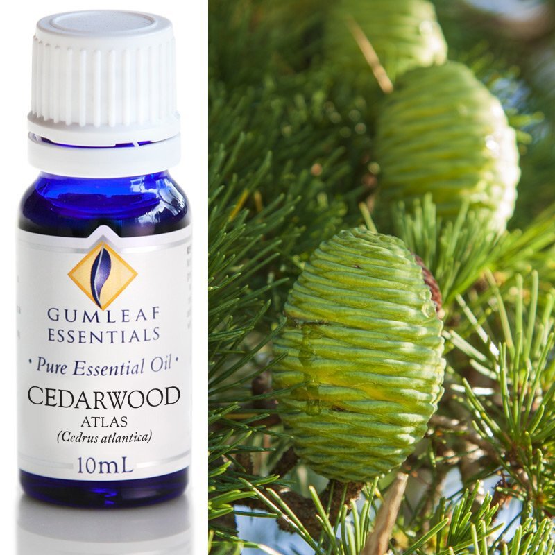 Cedarwood Atlas Pure Essential Oil 10ml