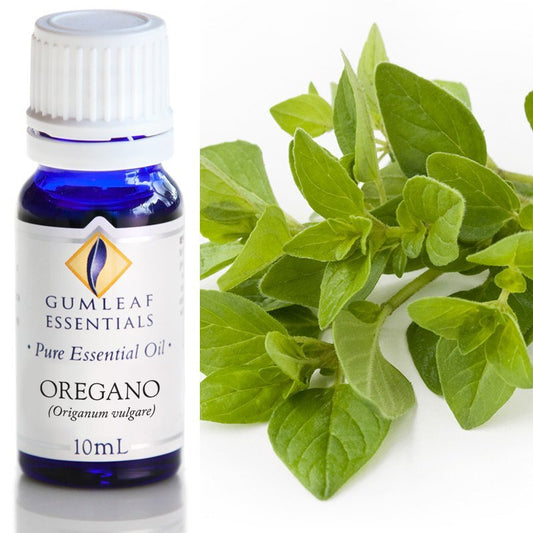 Oregano Pure Essential Oil 10ml