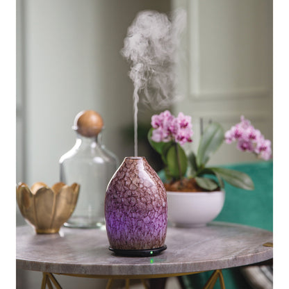 Oyster Shell Essential Oil Diffuser