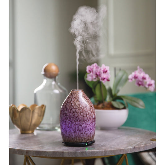 Oyster Shell Essential Oil Diffuser