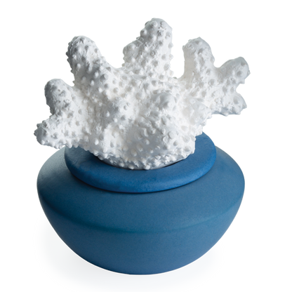 Coral Porcelain Diffuser