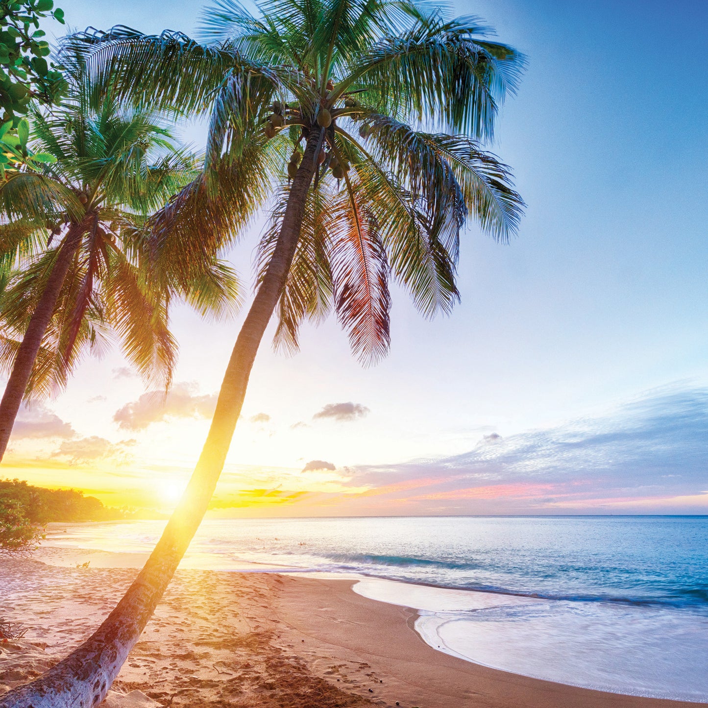 Bahama Beach Soy Wax Melts