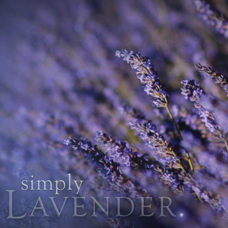 Lavender Room Spray 125ml