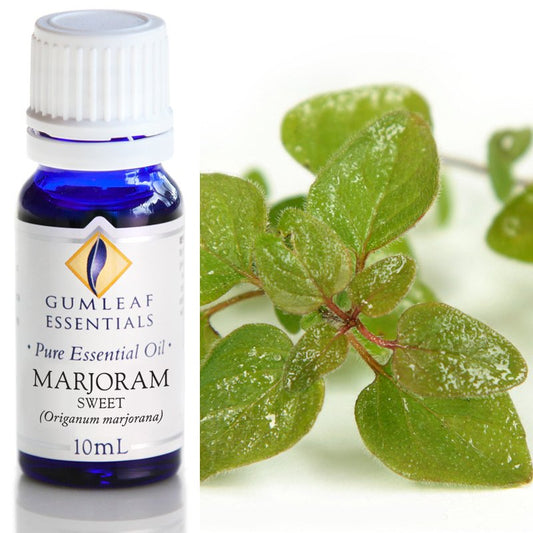 Marjoram Sweet Pure Essential Oil 10ml