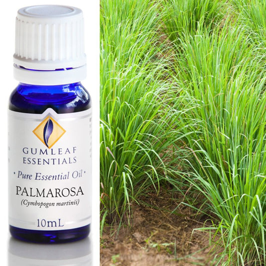 Palmarosa Pure Essential Oil 10ml